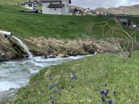 Appartamento in vendita a Livigno(SO)