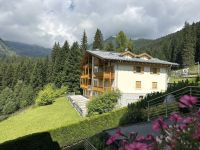 Appartamento in vendita a Pinzolo(TN)