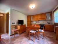 Appartamento in vendita a Ravascletto(UD)