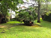 Villa in vendita a Nicolosi(CT)
