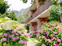 Appartamento in affitto a Ballabio(LC)