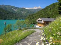Loft / Open Space in vendita a Sauris(UD)