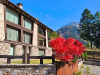 Appartamento in vendita a Ponte di Legno(BS)