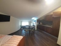 Appartamento in vendita a Castel di Sangro(AQ)