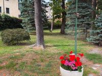 Appartamento in affitto a Bardonecchia(TO)