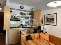 Appartamento in vendita a Branzi(BG)
