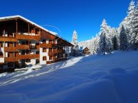 Attico / Mansarda in vendita a Selva di Cadore(BL)