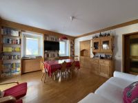 Appartamento in vendita a Auronzo di Cadore(BL)