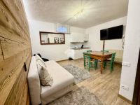Appartamento in affitto a Ponte di Legno(BS)
