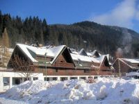 Appartamento in vendita a Tarvisio(UD)