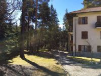 Appartamento in affitto a Bardonecchia(TO)