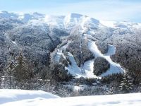 Attività / Licenza in vendita a Abetone Cutigliano(PT)