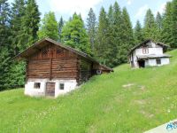 Rustico / Casale in vendita a Primiero San Martino di Castrozza(TN)