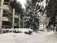 Appartamento in affitto a Bardonecchia(TO)