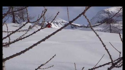 Extreme skiing champoluc