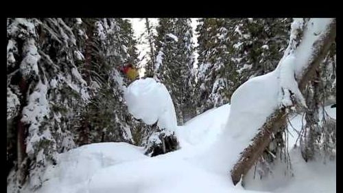 Winter x games real snow backcountry: nicolas müller