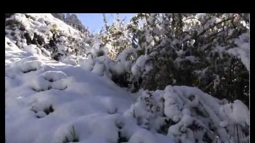 La prima neve in Valmalenco in Località Ponte