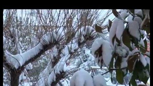 Vallesina: continua a nevicare, scuole chiuse e temperature sotto lo zero