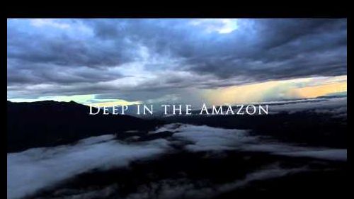 I trailer del 61° trento flm festival | 