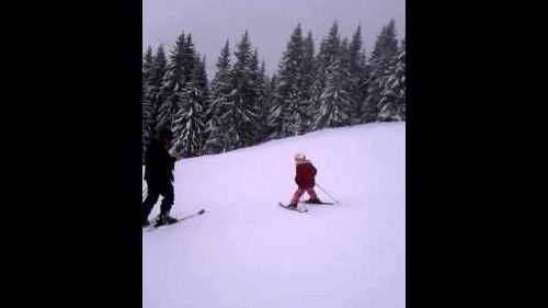 Fia skiing in Les Gets Feb 2013