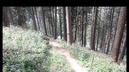 Borno inizio trail freeride