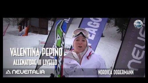 Nordica dobermann gs-r evo edt - neveitalia ski test 2013-2014