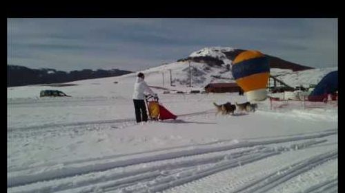 CampoFelice Sleddog 2012