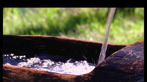 Hotel rosa degli angeli - peio - trentino