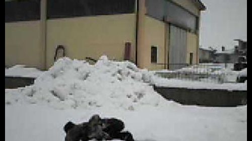 AcciDede tuffi nella neve!!