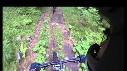 Mountain Bike Freeride ad Asiago, malga Zebio, su Trek Remedy 8 27.5