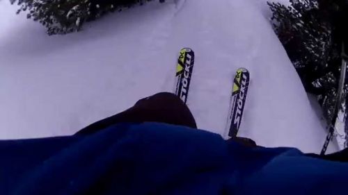 Grindelwald Powder Skiing 2015- 3