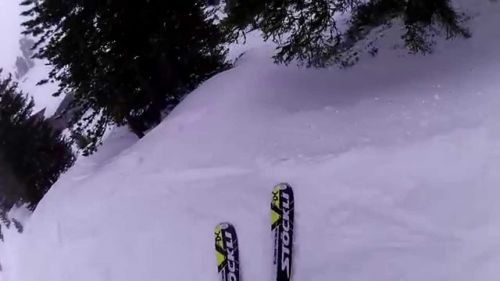 Grindelwald Powder Skiing 2015- 1