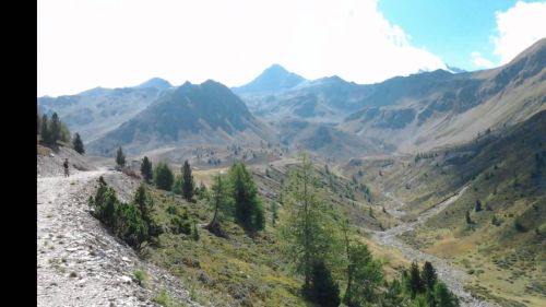 FLY-LINE CATINACCIO ROSENGARTEN