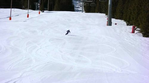 Malga Ces, San Martino di Castrozza