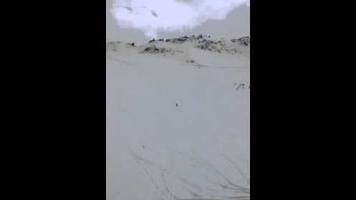 La bpce - contrôle de gestion - en séminaire de cohésion biathlon avec simon fourcade