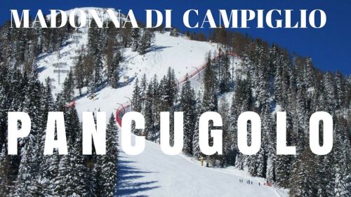 Piste da sci Madonna di Campiglio: pista nera Pancugolo