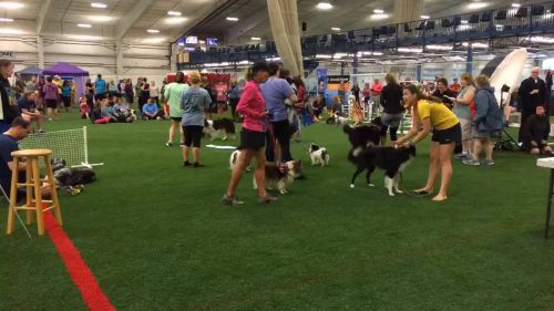 La thuile rocks the snow 21 febbraio 2016