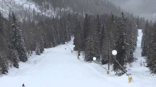 3rd day snowboarding in San Martino Di Castrozza. At Col Verde. Feb 16, 2016. Pangtou, Pangdan.