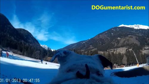 Il Dogo sulle piste da sci: Borno