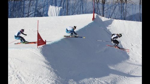 Course preview: pyeongchang audi fis ski cross world cup