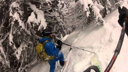 chamonix tree skiing 2016
