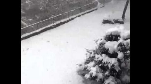 30 centimetri di neve in Valmalenco
