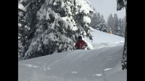 selezione Japan 2k17 Madonna di Campiglio freeride, power day