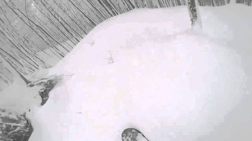 [hd] laceno freeride 