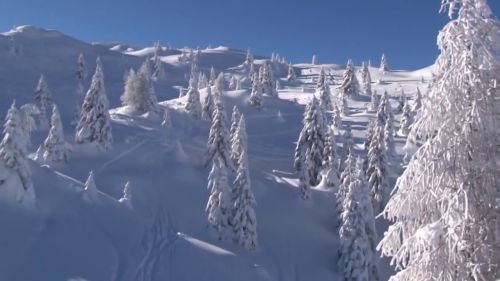 Skiing in the Brenta Dolomites: Madonna di Campiglio & Pinzolo