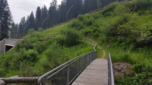 Mtb Madonna di Campiglio