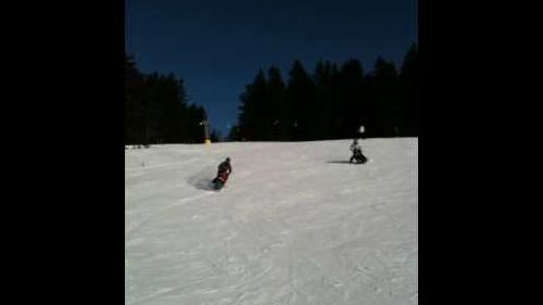 Cecil and Toby skiing on their Bi-Unique skis