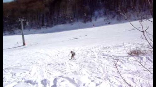 fabio campofelice i 3 dossi jump quando c'era la neve