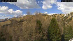 Webcam Pozza di Fassa Buffalure