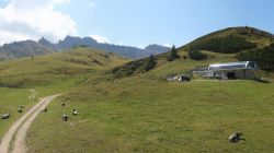 Seiseralm - Punta d’oro